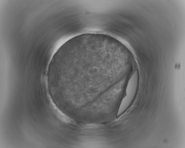 X0000091091440200709041253