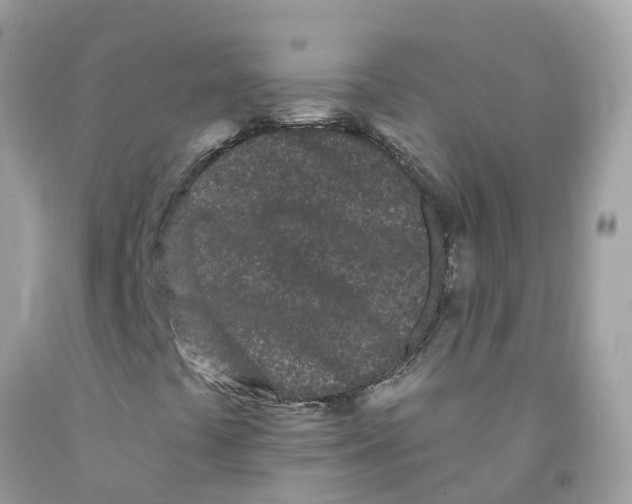 X0000091091441200709041252