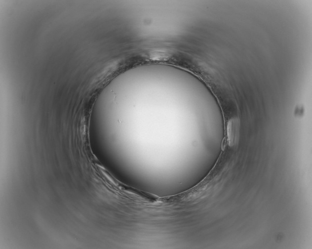 X0000091091443200709041252