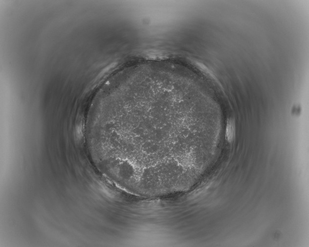 X0000091091444200709041252