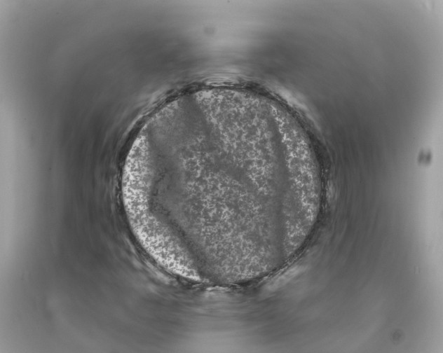 X0000091091445200709041252