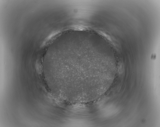 X0000091091446200709041252