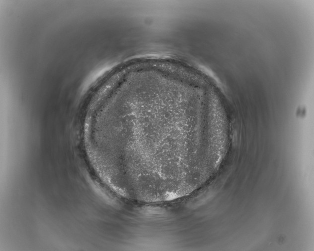 X0000091091448200709041252