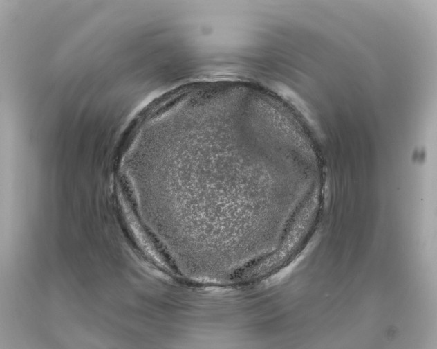 X0000091091449200709041252