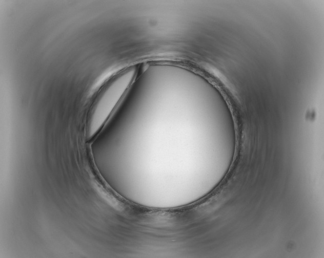 X0000091091450200709041252