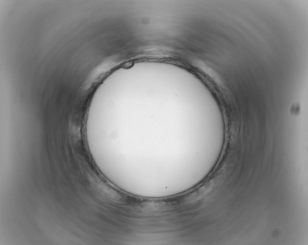 X0000091091451200709041252