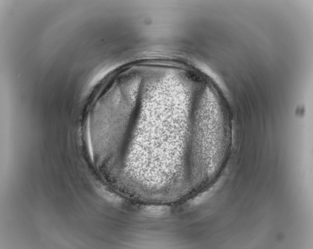 X0000091091453200709041252