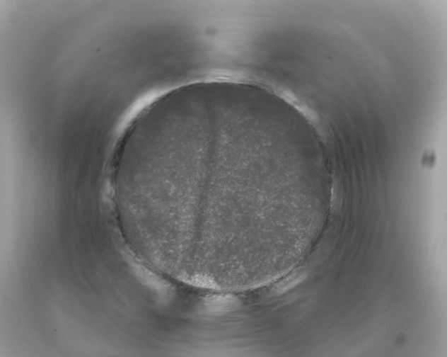 X0000091091454200709041252