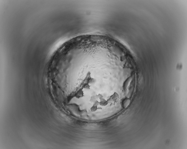 X0000091091455200709041252