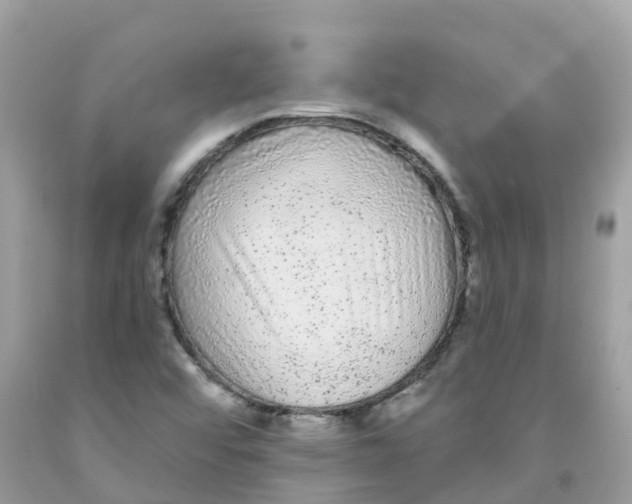 X0000091091456200709041252