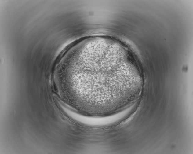 X0000091091457200709041252