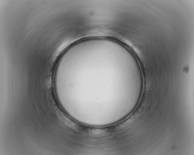 X0000091091459200709041252