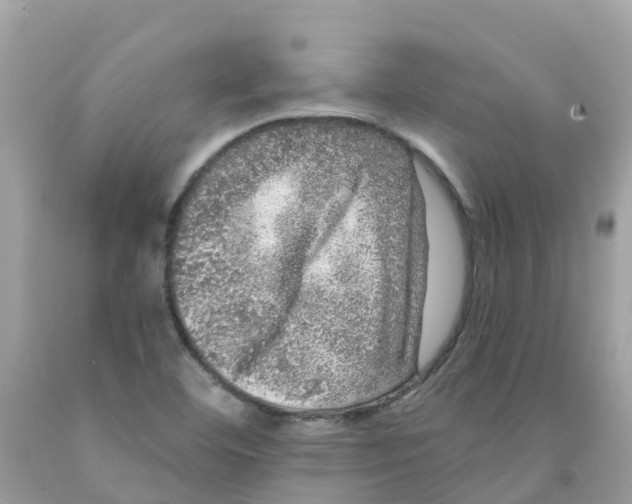 X0000091091460200709041252