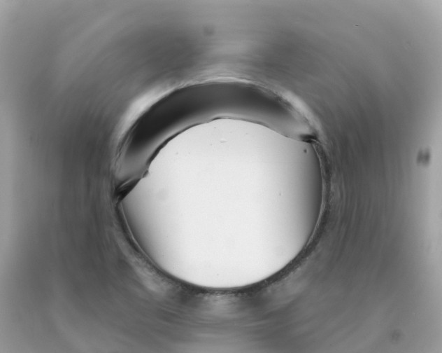 X0000091091461200709041252