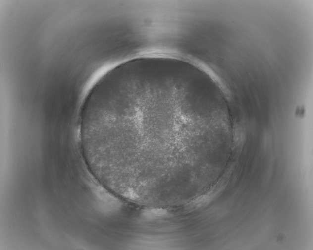 X0000091091462200709041252