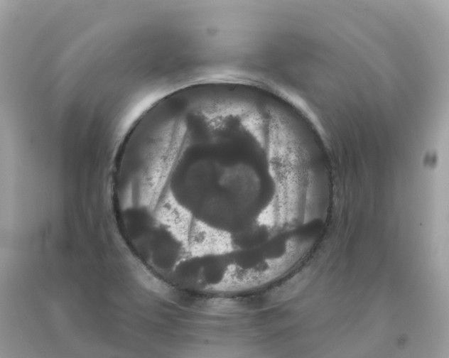 X0000091091463200709041252