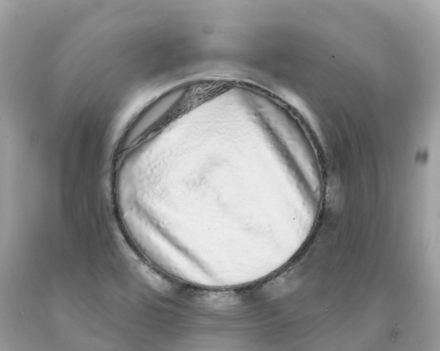 X0000091091464200709041252