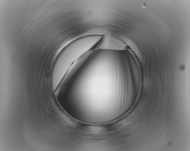 X0000091091465200709041252