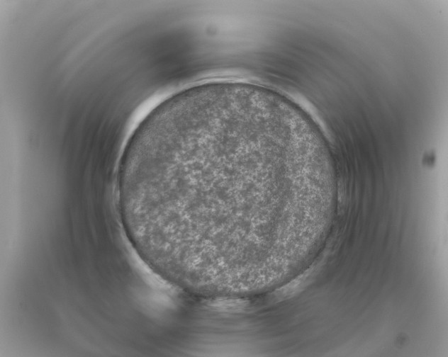 X0000091091466200709041252