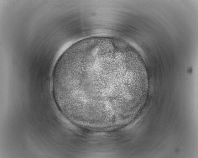 X0000091091467200709041252