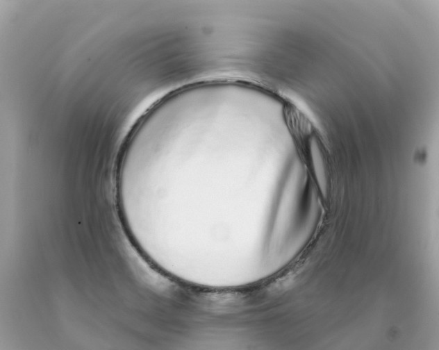 X0000091091468200709041252