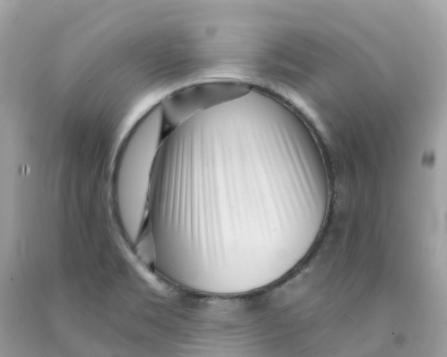 X0000091091469200709041252