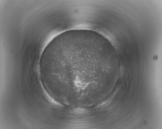 X0000091091470200709041252