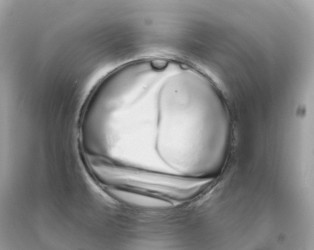 X0000091091471200709041252