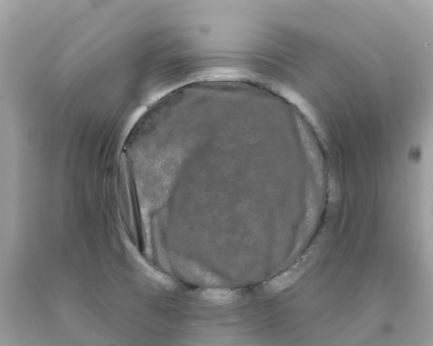 X0000091091473200709041252