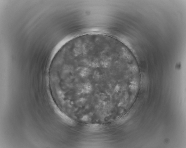 X0000091091474200709041252