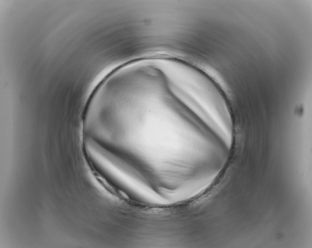 X0000091091476200709041252