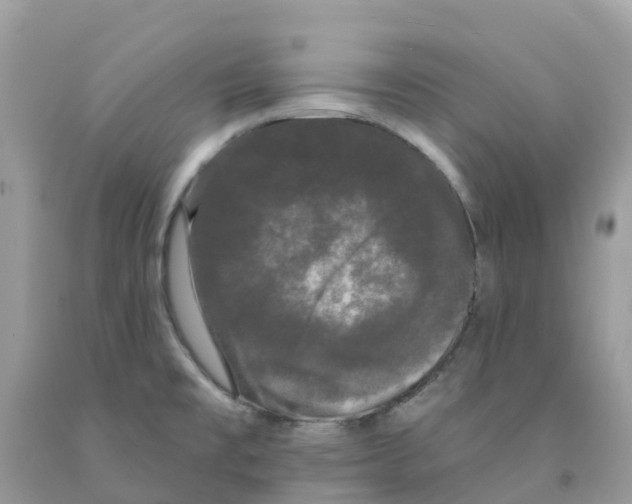 X0000091091477200709041252