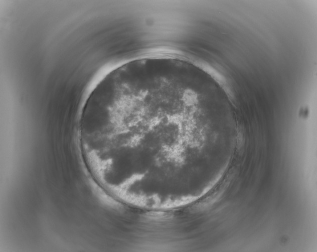 X0000091091478200709041252