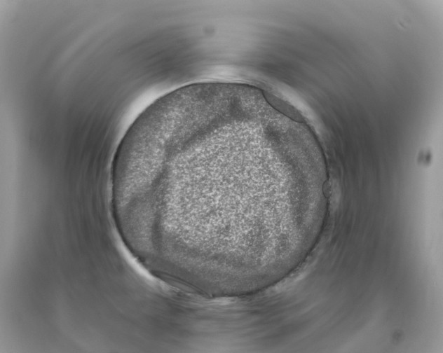 X0000091091479200709041252