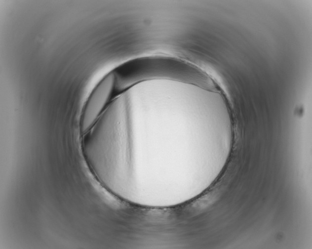 X0000091091480200709041252