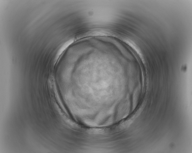 X0000091091481200709041252