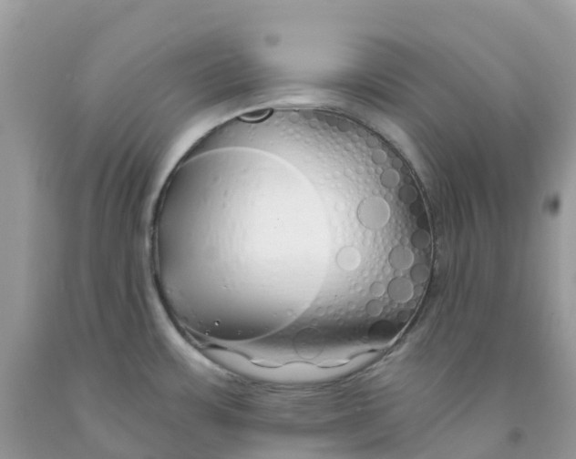 X0000091091483200709041252