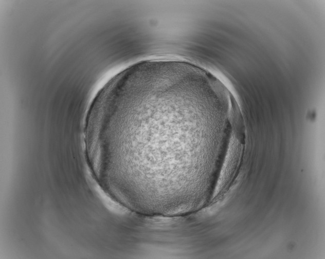 X0000091091485200709041252