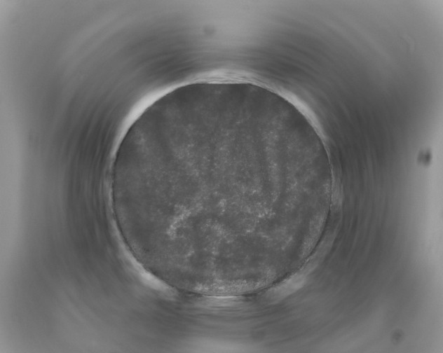 X0000091091486200709041252