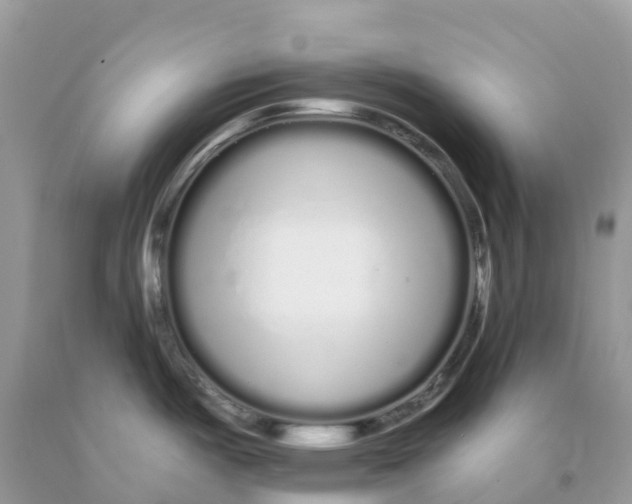 X0000091091487200709041252