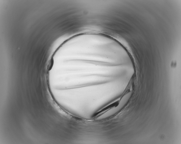 X0000091091488200709041252