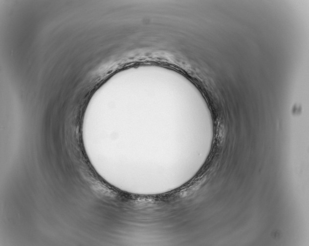 X0000091091489200709041251