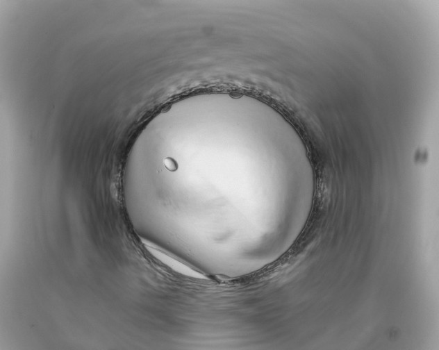 X0000091091490200709041251