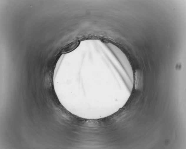 X0000091091491200709041251