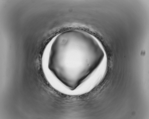 X0000091091493200709041251