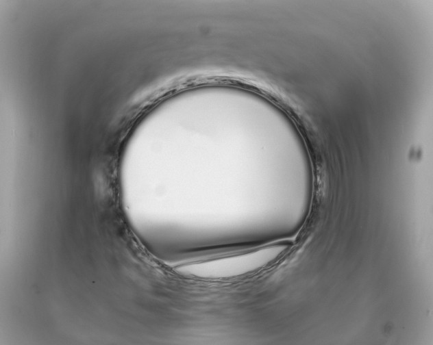 X0000091091494200709041251