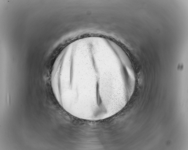 X0000091091495200709041251