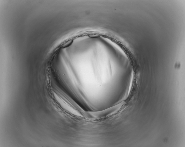 X0000091091496200709041251