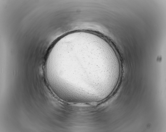 X0000091091497200709041251