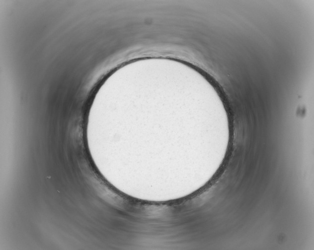 X0000091091498200709041251